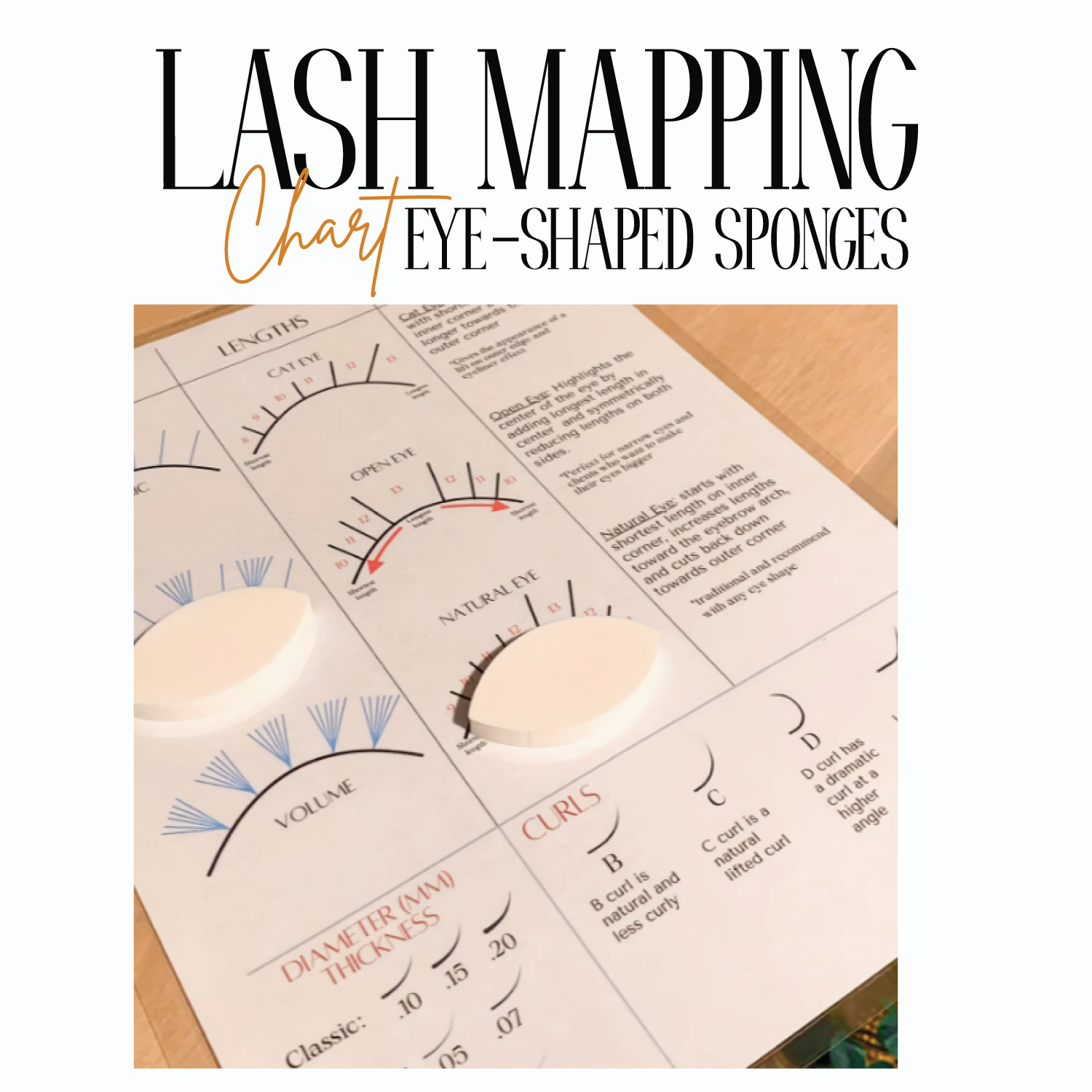 Lash Mapping Chart with Eye-Shaped Sponges - Image 2